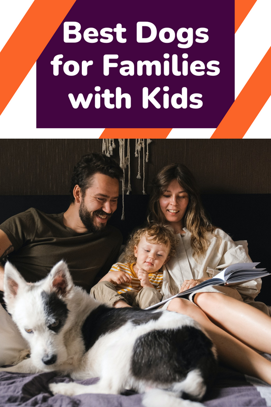 Best Dogs for Families with Kids