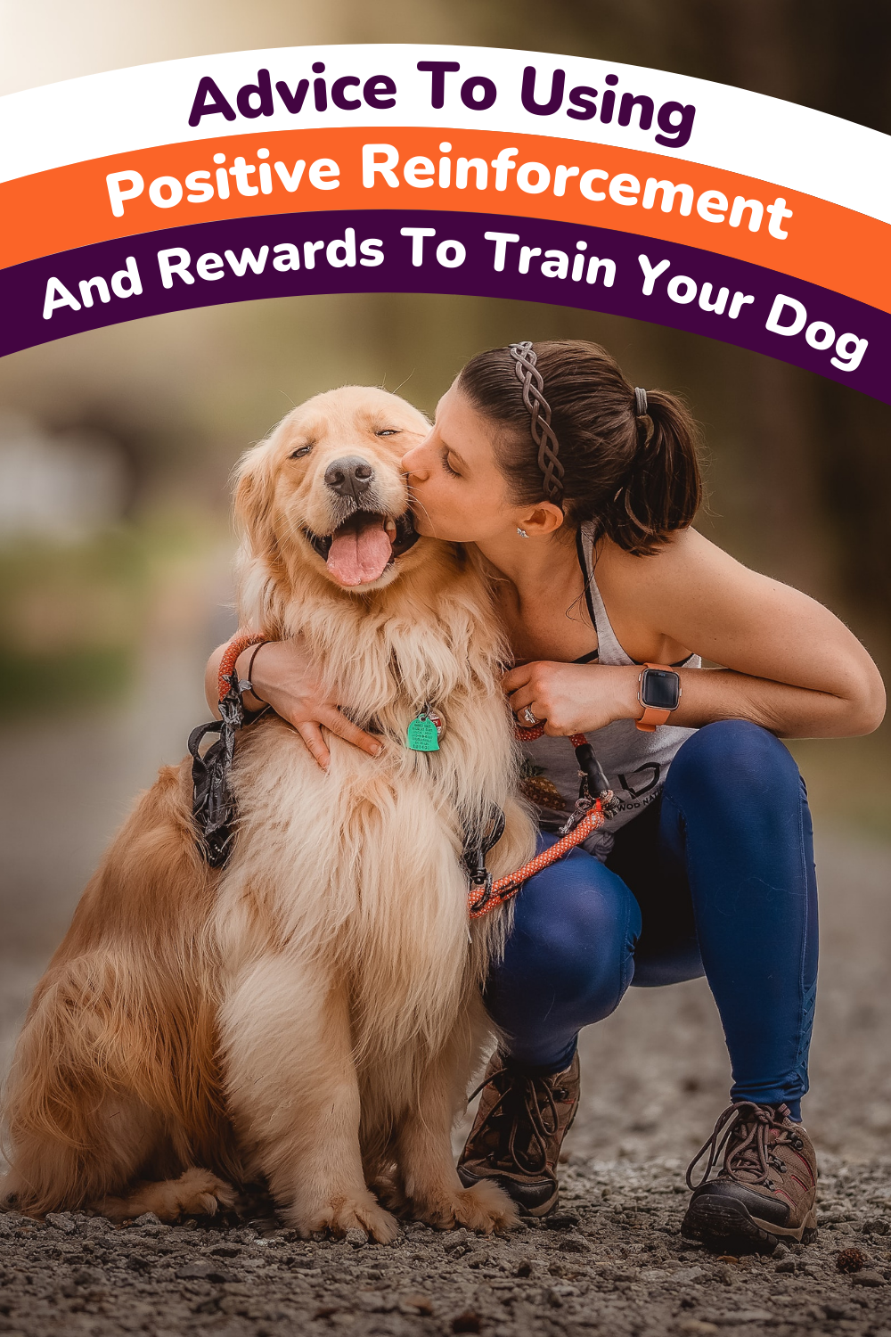 Advice To Using Positive Reinforcement And Rewards To Train Your Dog