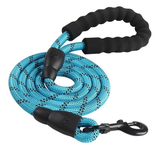 Rope & Belt Pet Leash - Blue / 150cm - jimijipet